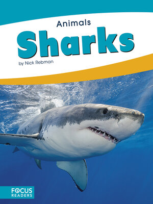 cover image of Sharks